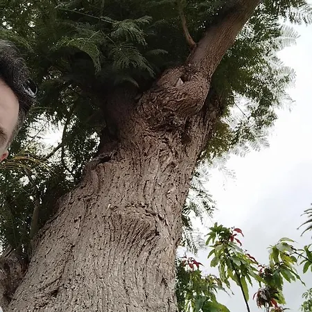 House Experience Violeta Ferienhaus La Victoria de Acentejo