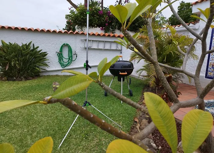 House Experience Violeta