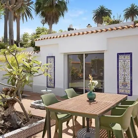 House Experience Violeta