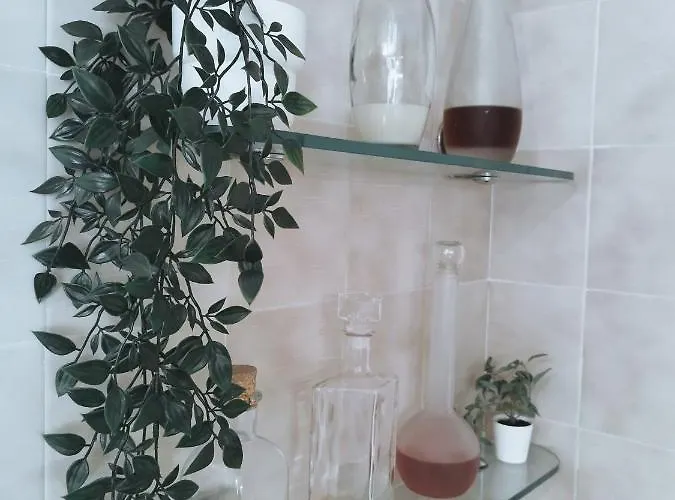 House Experience Violeta 펜션