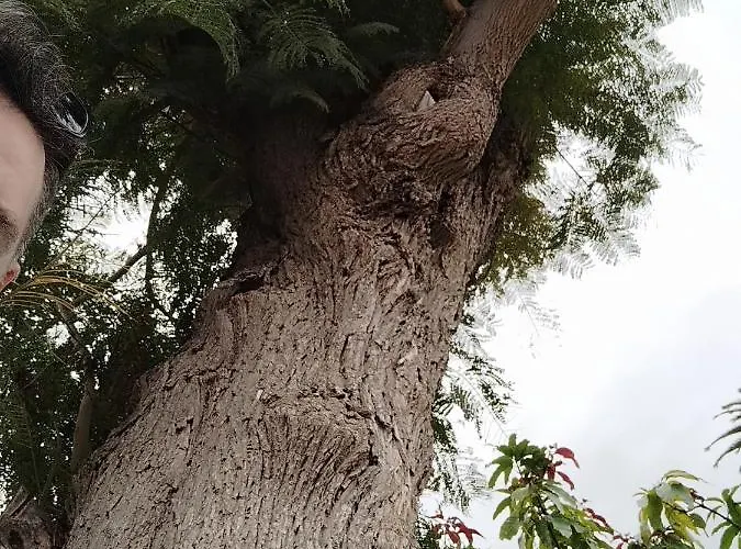 House Experience Violeta 펜션 La Victoria de Acentejo