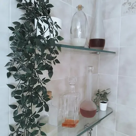 House Experience Violeta בית נופש